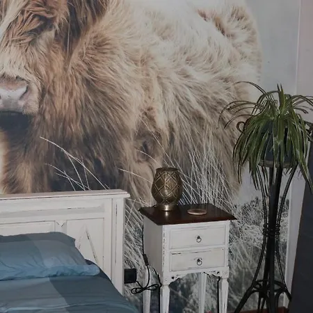 Bed & Breakfast Acquagrossa *